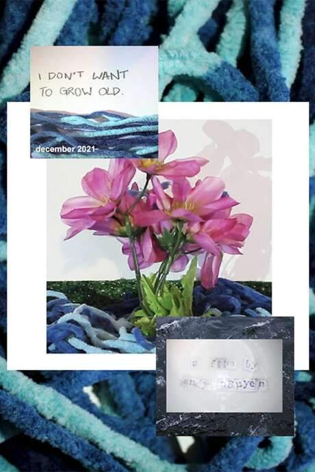 i don’t want to grow old.